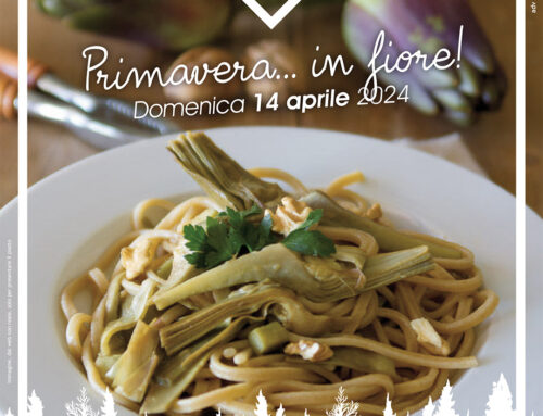 DOMENICA 14 APRILE 2024 › PRIMAVERA… IN FIORE