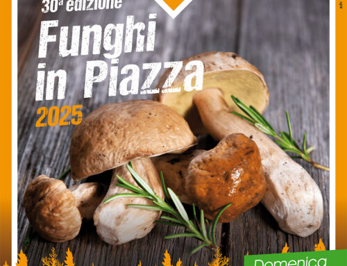 Domenica 12 Ottobre 2025 › Funghi in Piazza